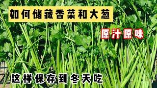 香菜，大葱如何保持原汁原味，如何储存夏天的蔬菜，香料