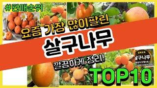 살구나무 추천 판매순위 Top10 || 가격 평점 후기 비교