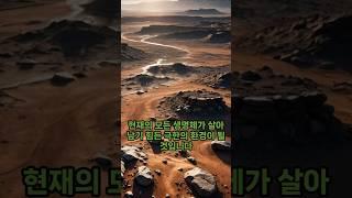 지구 최후의 생존자, 바퀴벌레와 개미를 넘어선 'XX'의 비밀
