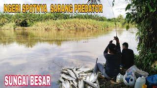 NGERI,, SARANG PREDATOR DI SUNGAI BESAR || FISHING  SPOT YANG INDAH BIKIN BETAH