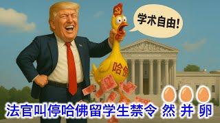 美国法官叫停政府禁止哈佛招收留学生，哈佛得救了？(然)而(并)没有什么(卵)用。真正客观中立的华裔，不会在这件事上完全站在哈佛那边
