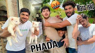 Samad Pets Vlog Sy Laraiemotional 