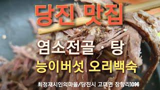 당진 맛집(염소전골, 염소탕, 능이버섯오리백숙) 최정재시인의마을~