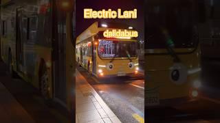Electric Bus #Lani 현대 #일렉시티 #전기버스