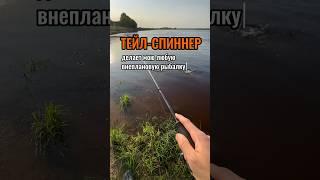 Поисковик №1 на любой короткой рыбалке! #поймалотпусти #рыбалка #окунь #щука #голавль