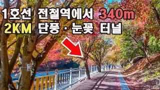 서울·경기 전철역 바로 옆. 이색적인 단풍·눈꽃 터널 2km/눈내리면 반드시 가야하는 트레킹·여행/원효대사와 요석공주의 사랑이야기가 서려있는곳/