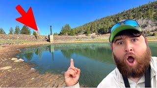 Are There Any MONSTER Fish in This Mountain Lake? (WILD)