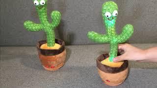 dancing cactus toy comming!!!