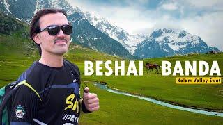 Beshai Meadows - Banda | New Discovered Place in Kalam Swat | The Guide of Beshai Banda