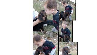 taha playing with baby goat | kissing hugging goat | new born baby goat