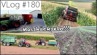 FarmVLOG#180: Heiß auf Mais - Häckseln Teil 1 / Was macht der Einzelkorn Raps?