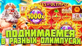 ПРОВЕРЯЕМ ВСЕ ОЛИМПУСЫ НА ВЫДАЧУ / МНОЖИТЕЛЬ 49Х И ЗАНОС В ТЫСЯЧНОМ ОЛИМПУСЕ / ЖАРКАЯ СЕССИЯ!