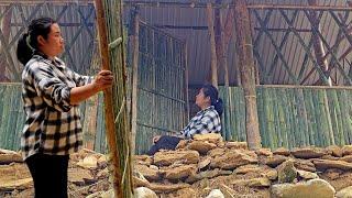 After many days the mute boy left. The palace also completed the bamboo house.