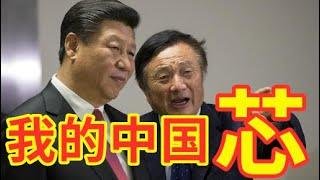 【辱包】我的中国芯|美国制裁中芯国际 华为大火  总加速师习近平加速武统台湾 大炼芯片！