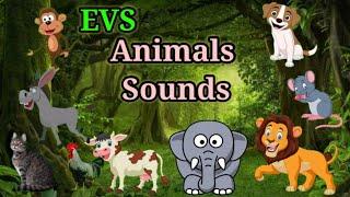 Animals Sound | Cries of Animals | EVS | Animal Sounds for Kids