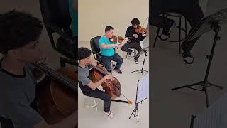 Instrumentos produzidos no Atelier dos violinos