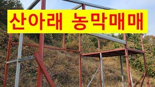 NO, 482   충남서천군서천읍둔덕리. 산아래 농막매매