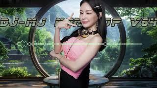 DJ-MJ Nonstop V64 2025【偏向 X 跳楼机 X 执子之手 X 谦让 X 青花 X 我走后 X 给不了你未来 X 满天星辰不及你】