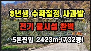 #154물시설 완벽한 사과과수원#의성땅#의성부동산#군위땅#군위부동산#안동땅#의성땅매매#군위땅매매#경북땅