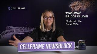 Cellframe NewsBlock. Episode 12