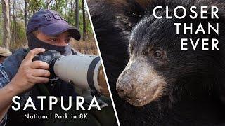 Wildlife Photography in Satpura National Park | TIGER COUNTRY Ep. 3 - New Life (Canon R5 8K)