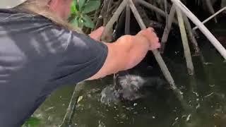 My Daughter and I Saved a Small Dog From Cape Coral Florida Canal Mangroves