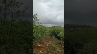 Yadagira Dist Ramasamudra forest #shorts