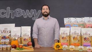 Nutro Ultra Dog Food | Chewy