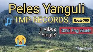 Peles Yanguli(Route 700)_x_T ViBez  @TMP Records. Prod. by tskeen