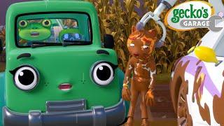 Mud Trouble in Trevor's Maze! | Gecko's Garage  | Cartoons For Kids | Toddler Fun Learning