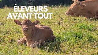 notre quotidien d'éleveurs 17.24 partie 2: éleveurs avant tout