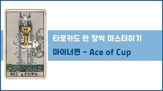 [타로강의]  Ace of Cup