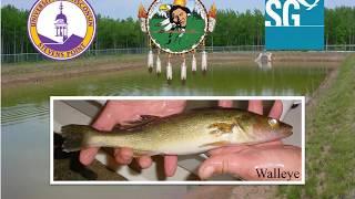 UWSP NADF Pond Culture Module 1- Pond Construction