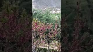 Panjshir Afghanistan spring بهار پنجشیر افغانستان