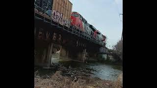 #cntrain crosses #desplainesriver and Metra catches a #carpfishing / #railfaning #fishing #dog