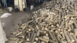 Eco Briquettes from Sugarcane Waste