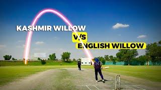 Best Kashmir Willow Bat Ever| Which is best for you| THE ULTIMATE COMPARISON TEST