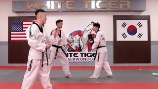 Episode 2 |  Sparring Skills | JH Kim's WHITE TIGER MARTIAL ARTS