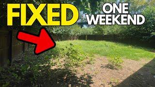 How to quickly fix your lawn: START NOW