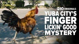 Mystery surrounds Yuba City's chickens | Bartell's Backroads