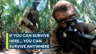 Welcome to the jungle: The British Army's brutal Belize jungle training