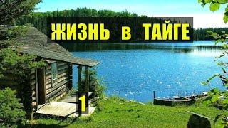 РЫБАЛКА на ДЕВСТВЕННОМ ОЗЕРЕ ПРОМЫСЕЛ в ЛЕСУ ПРИРОДА КНИГИ ИСТОРИИ из ЖИЗНИ АУДИОКНИГА СЕРИАЛ 1