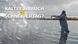 Temperatur, Luftdruck, Wetter, Mond und Wind - Wie reagieren Raubfische auf äußere Einflüssen?