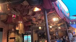 Video Tour of Ceiling Fan Sightings - Day 1 - Dan's Visit to Florida/Disney