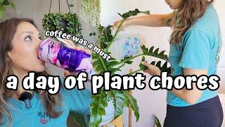 A Day Of Plant Chores