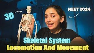 Skeletal System with 3D Model- Locomotion and Movement | NEET 2024- Class 11