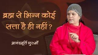 ब्रह्म से भिन्न कोई सत्ता है ही नहीं | Anandmurti Gurumaa