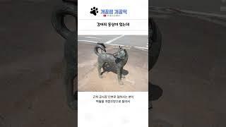 웃긴 상황들 모음 156탄 ㅋㅋㅋㅋㅋ