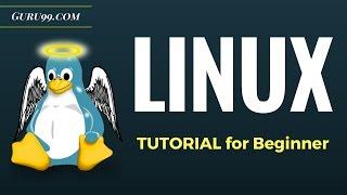 Linux Tutorial for Beginners: Introduction to Linux Operating System