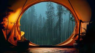 Night in a tent. Heavy rain and thunderstorm sounds on tent. Rainstorm sounds for sleeping thunder.